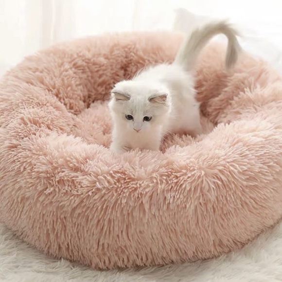 Pet's Cushion Bed - Picture 13 of 13